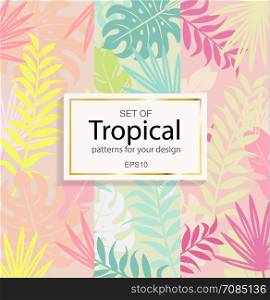 Set of modern tropical background for your design, vector illustration.