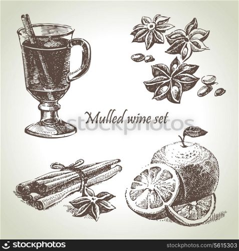 Set of mulled wine, fruit and spices, hand drawn illustrations
