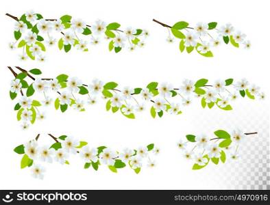 Set of nature backgrounds with spring blossom of cherry. Vector.