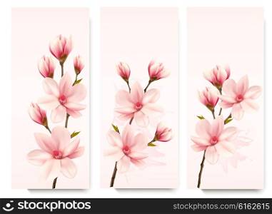 Set of nature flower magnolia banners. Vector.