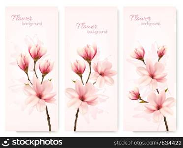 Set of nature flower magnolia banners. Vector.