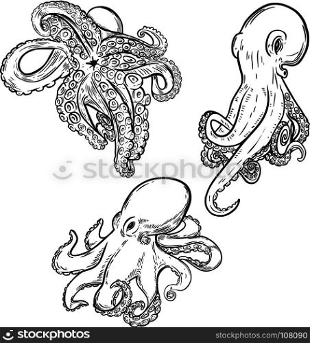 Set of octopus illustration isolated on white background. Design element for menu, poster, emblem, flyer. Vector illustration