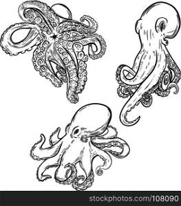Set of octopus illustration isolated on white background. Design element for menu, poster, emblem, flyer. Vector illustration