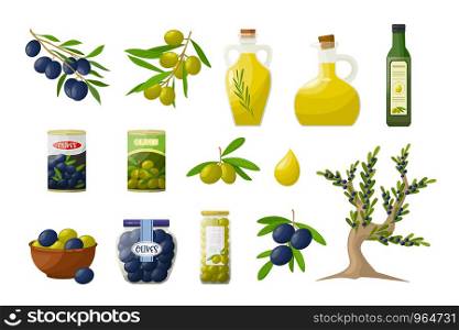 Set of olive oil in glass botles, branches, tree, olive products. Objects in cartoon style isolated on white background.