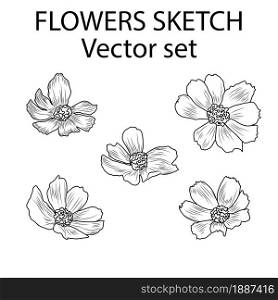 Set of opened flower buds. Five hand-drawn using sketch technique of black contour flowers in a realistic style. Vector illustration isolated on white