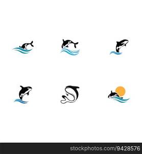 set of  Orca Logo Vector Illustration On Trendy Design.