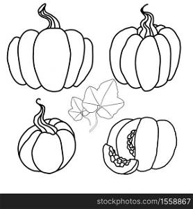 Set of outline cartoon different pumpkins with foliage. Autumn Harvest. Line art treats for Thanksgiving. Vector monochrome element for recipes, animation and your creativity.. Set of outline cartoon different pumpkins with foliage. Autumn Harvest. Line art treats for Thanksgiving. Vector monochrome