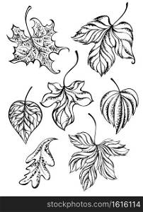 set of painted art, tattoo, autumn leaves on a white background. Tattoo style. Hand drawn. Sketch drawing