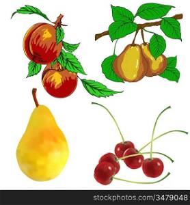 set of pear fruits cherry and peach
