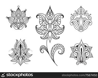 Set of persian floral paisley elements in outline style