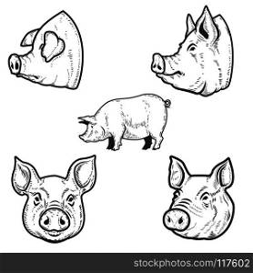 Set of pig illustrations. Pork head. Design element for emblem, sign, poster, badge. Vector illustration