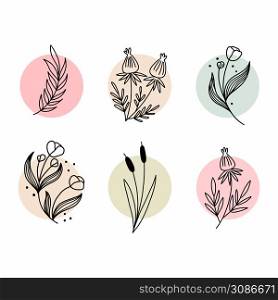 Set of plant and herb. Vector doodle illustration. Postcard decor element.