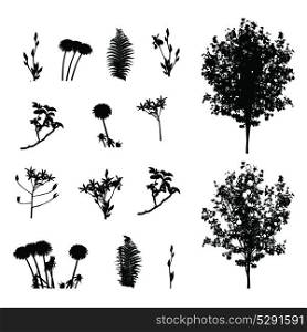Set of Plant, Tree, Foliage Elements Silhouette Vector Illustration. Set of Plant, Tree, Foliage Elements Silhouette Vector Illustrat