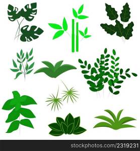 Set of plants and greenery. Exotic herbs and twigs vector illustration. Botanical natural decorations, decor
