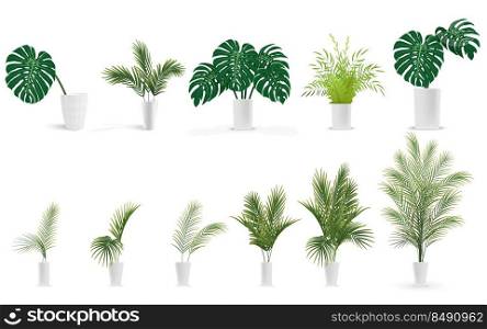 set of plants in vase with monstera, fern, palm in pots on white background, vector illustration