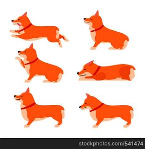Set of poses and emotions dog. Welsh Corgi Set. Teach dog. Stay, Wait, Sit. Flat vector illustration.. Set of poses and emotions dog. Welsh Corgi Set. Teach dog. Stay, Wait, Sit.