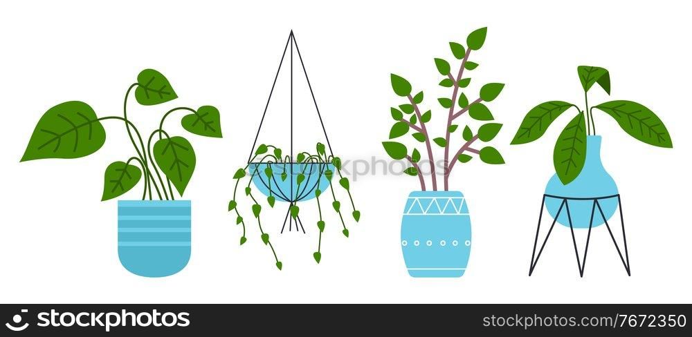 Set of pot with houseplant isolated at white. Vector flowerpot of decorative green plant with long leaves in ceramic pot. Indoor plant concept of domestic greenery. Icon for home interior plant. Decorative set green plant with long leaves in ceramic pot, pot with houseplant. Home interior plant
