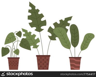 Set of pot with houseplant isolated at white. Vector flowerpot of decorative green plant with long leaves in ceramic pot. Indoor plant concept of domestic greenery. Icon for home interior plant. Decorative set green plant with long leaves in ceramic pot, pot with houseplant. Home interior plant