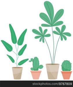 Set of pot with houseplant isolated at white. Vector flowerpot of decorative green plant with long leaves in ceramic pot. Indoor plant concept of domestic greenery. Icon for home interior plant. Decorative set green plant with long leaves in ceramic pot, pot with houseplant. Home interior plant