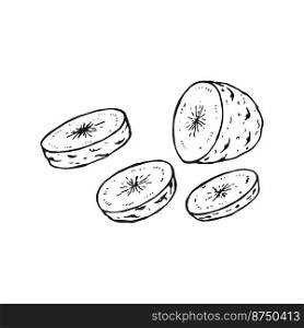 Set of potato outline. Hand drawn vector illustration. Farm market product, isolated vegetable.