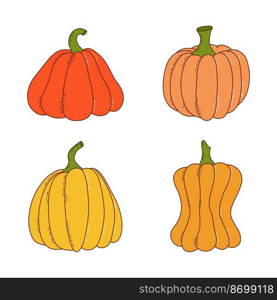 Set of pumpkin of various shapes and colors. Thanksgiving and halloween elements. Vector illustration in hand drawn style.. Set of pumpkin of various shapes and colors. Thanksgiving and halloween elements. Vector illustration in hand drawn style