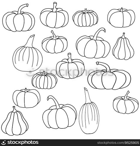 Set of pumpkins of various shapes, doodle vegetable harvest, coloring page on the autumn theme, vector outline illustration for design