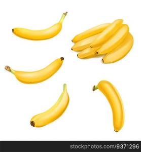 Set of Realistic banana and banana bunch isolated on white background. Tropical fruit. vector Realistic illustration. Set of Realistic banana and banana bunch isolated on white background. Tropical fruit. Realistic vector illustration