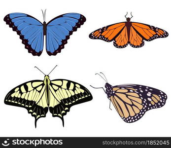 Set of realistic beautiful butterflies vector illustration. Collection of moths yellow orange blue and beige. Symmetrical graceful butterflies.. Set of realistic beautiful butterflies vector illustration.