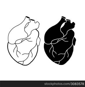 Set of realistic heart with aorta and veins. Medical picture. Black silhouette and outline drawing. The object is separate from the background. Vector element for your creativity.. Set of realistic heart with aorta and veins. Medical picture. Black silhouette and outline drawing. The object is separate from the background. Vector element