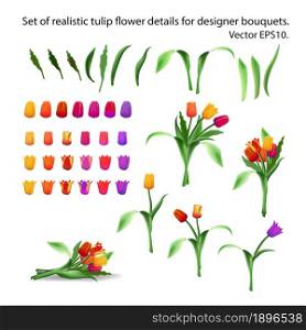 Set of realistic tulip flower details for arranging bouquets. Constructor. Designer of bouquets of tulips. Multi-colored buds, petals and stems. Long leaves. Isolated vector EPS10.