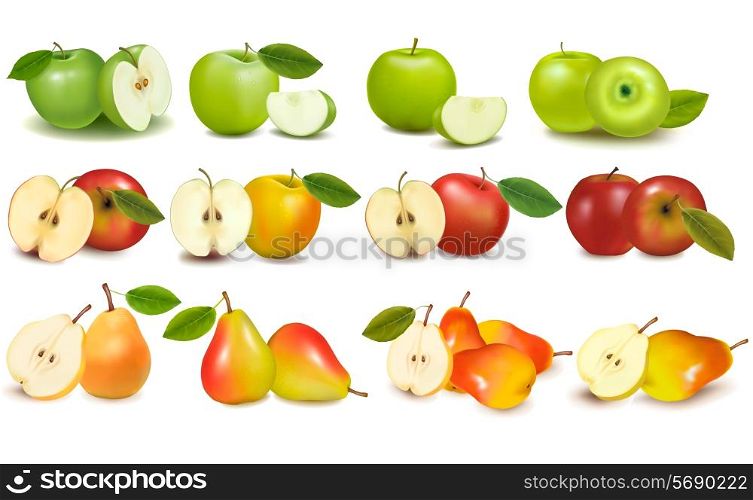 Set of red and green apple fruits with cut and green leaves. Vector illustration.