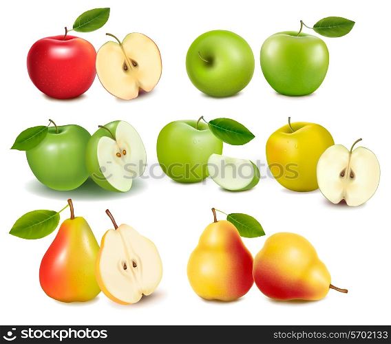Set of red and green apple fruits with cut and pears. Vector.
