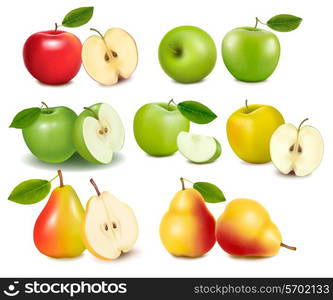 Set of red and green apple fruits with cut and pears. Vector.