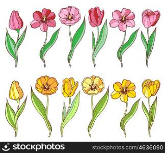 Set of red and yellow tulips. Decorative vector floral elements.