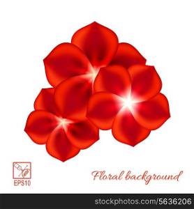 Set of red flowers isolated on white background. Vector illustration.
