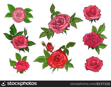 Set of red roses on isolated background. Leaves, flower, beauty. Can be used for topics like pattern, background, floral