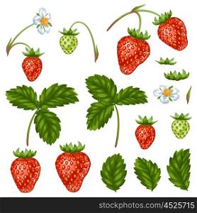Set of red strawberries, flowers and leaves.