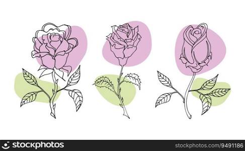 Set of rose flowers continuous line drawing, Minimalist hand drawn Vector. One line drawing. Decorative beautiful english garden rose with bud and color spots. Minimalist hand drawn sketch. Vector stock illustration.