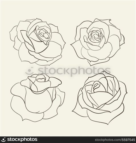 Set of roses. Vector illustration.