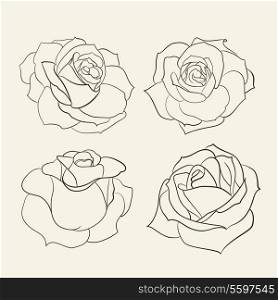 Set of roses. Vector illustration.
