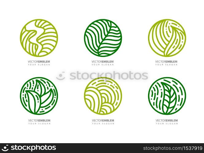Set of round bio emblems in a circle linear style. Tropical plant green leaves logo. Vector abstract badge for design of natural products, flower shop, cosmetics, ecology concepts, health, spa.. Set of round bio emblems in a circle linear style. Tropical plant green leaves logo. Vector abstract badge for design of natural products, flower shop, cosmetics, ecology concepts, health, spa