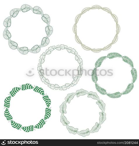 Set of round circle border frame of hand drawn tropical leaf for design
