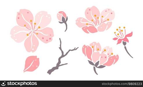 Set of sakura flowers. Beautiful decorative plants. Natural illustration.. Set of sakura flowers. Beautiful decorative plants.