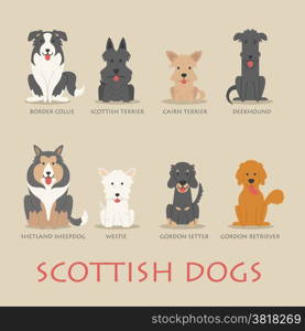 Set of scottish dogs , eps10 vector format