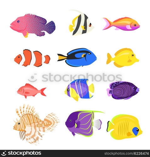 Set of sea fish color design flat. Ocean fish animal, nature cartoon wildlife aquarium, underwater life sea fish, exotic drawing marine fauna sea fish vector illustration