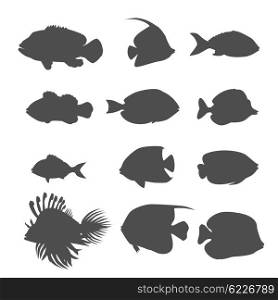 Set of sea fish color design flat. Ocean fish animal, nature cartoon wildlife aquarium, underwater life sea fish, exotic drawing marine fauna sea fish vector illustration