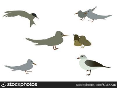 Set of Seabird seagull. Isolated on White background. Vector Illustration. EPS10. Set of Seabird seagull. Isolated on White background. Vector Ill