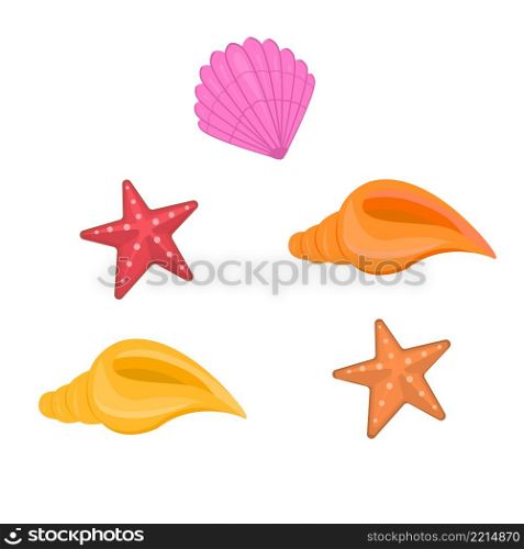 Set of seashells isolated on white background. Vector illustration.. Set of seashells isolated on white background. Vector illustration