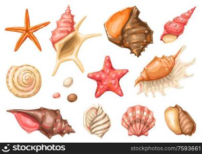 Set of seashells. Tropical underwater mollusk shells decorative illustration.. Set of seashells. Tropical underwater mollusk shells.