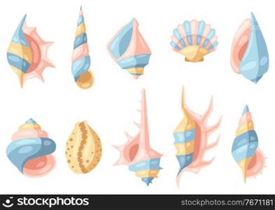 Set of seashells. Tropical underwater mollusk shells decorative illustration.. Set of seashells.